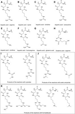 Cyanophycin Modifications—Widening the Application Potential